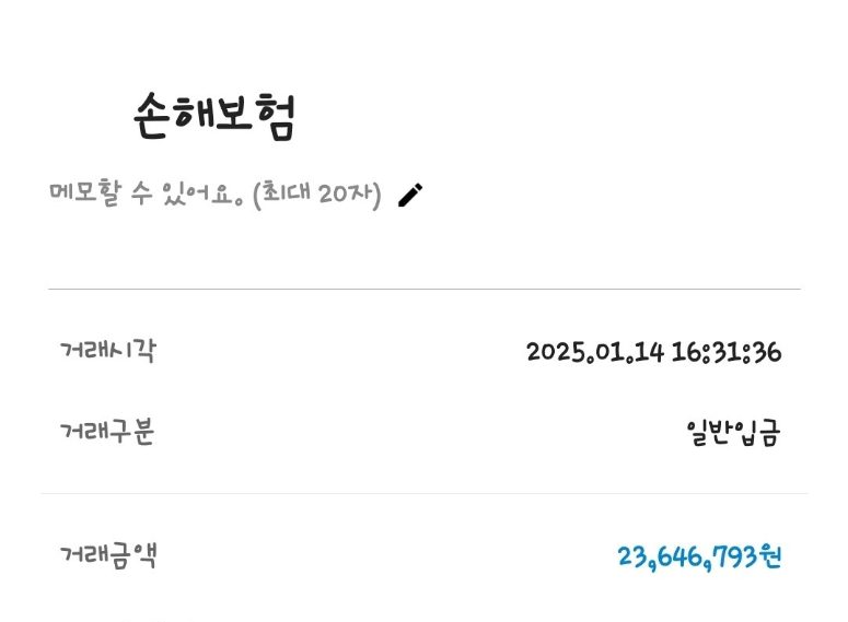 입금내역