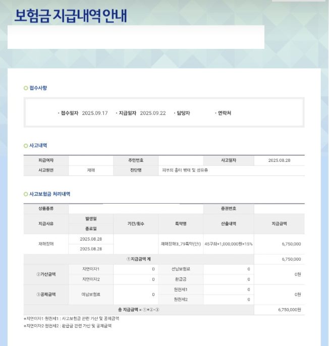 지급내역 안내
