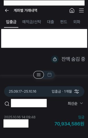 입금내역