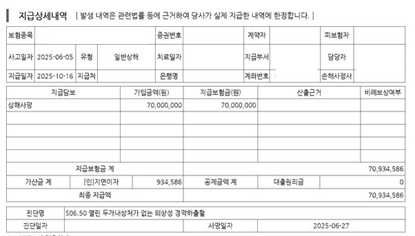 지급상세내역
